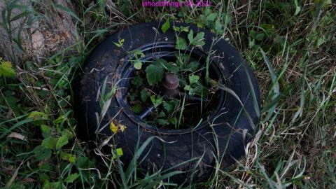 Inside The Outbuildings - IMG_6097.JPG