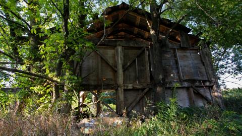 Inside The Outbuildings - IMG_6098.JPG