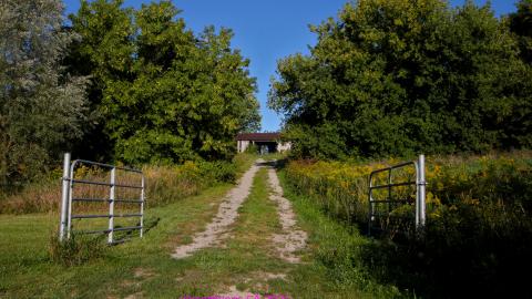 Riverbend Outbuildings photo 5