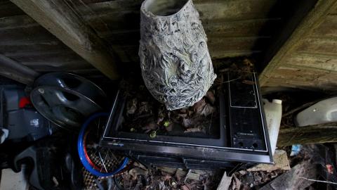 Inside The Outbuildings - IMG_6107.JPG