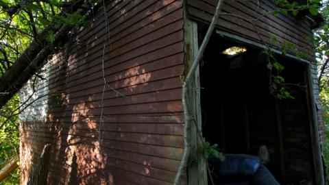 Inside The Outbuildings - IMG_6110.JPG