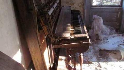 Snow Fall 2012/01 - IMG_2864.jpg