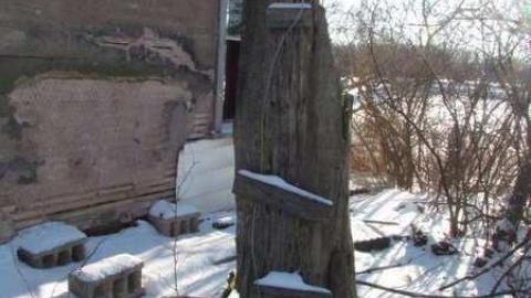 Snow Fall 2012/01 - IMG_2884.jpg