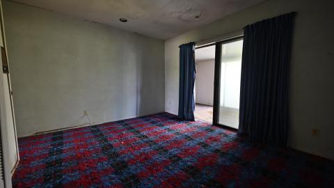 Photo from Wet Visit