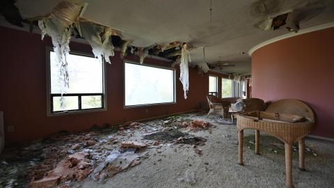 Wet Visit - _DSC4677.JPG