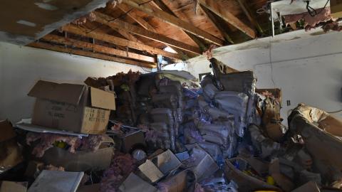 Wet Visit - _DSC4689.JPG