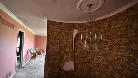 Wet Visit - _DSC4701.JPG