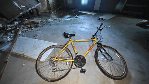 Wet Visit - _DSC4710.JPG