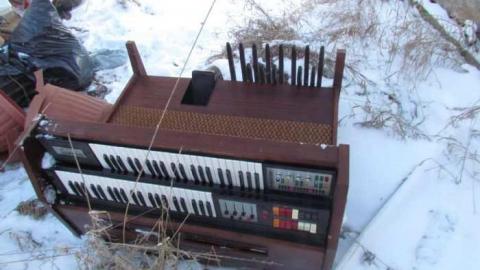 Snow Fall 2012/01 - IMG_2896.jpg