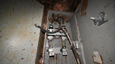 Wet Visit - _DSC4713.JPG