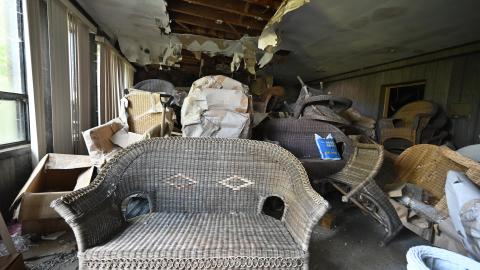 Wet Visit - _DSC4716.JPG