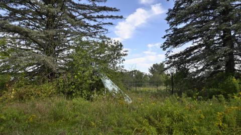 Wet Visit - _DSC4725.JPG