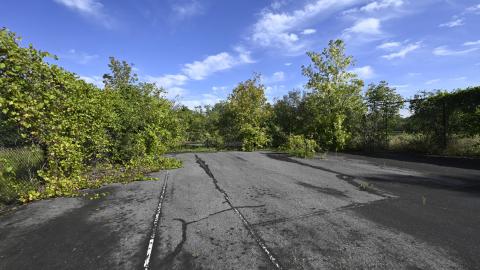 Wet Visit - _DSC4728.JPG