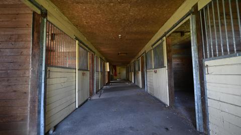 Wet Visit - _DSC4737.JPG