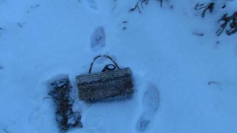 Snow Fall 2012/01 - IMG_2904.jpg