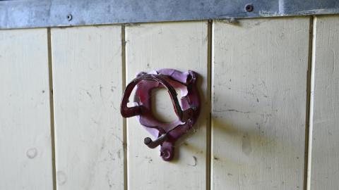 Wet Visit - _DSC4740.JPG