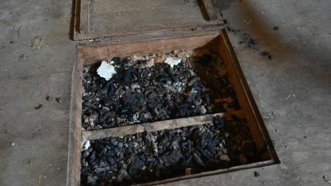 Wet Visit - _DSC4752.JPG