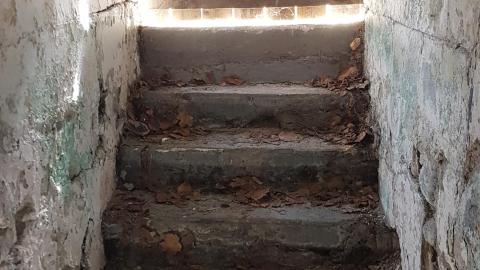 Return visit with ishootthings and Pikaswed420 - 1.jpg