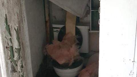 Return visit with ishootthings and Pikaswed420 - 2.jpg