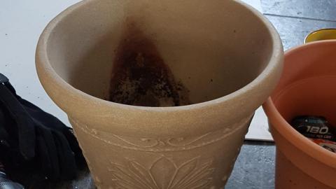 Return visit with ishootthings and Pikaswed420 - 13.jpg