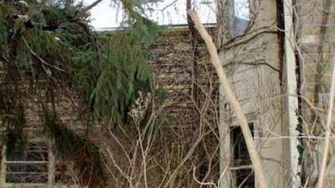 Manor - Neglected-Manor187.jpg