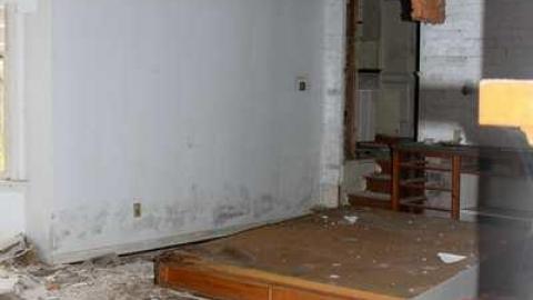 Manor - Neglected-Manor177.jpg