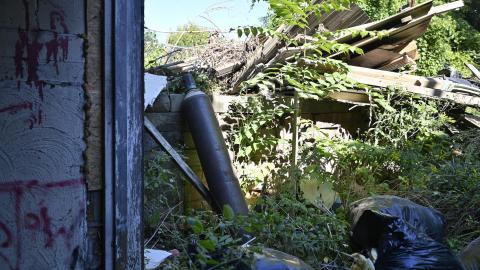 That Smell? - _DSC5379.JPG