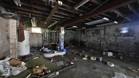 That Smell? - _DSC5382.JPG