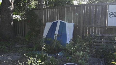 That Smell? - _DSC5400.JPG