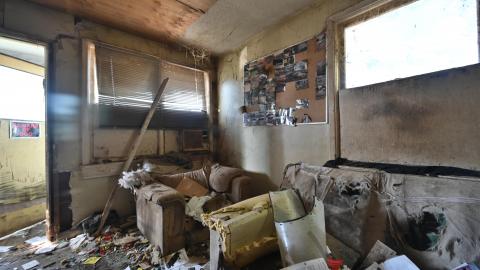 That Smell? - _DSC5403.JPG