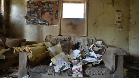 That Smell? - _DSC5409.JPG