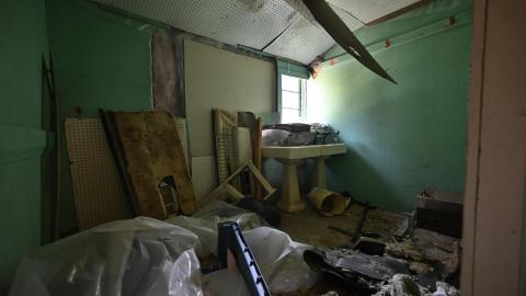 That Smell? - _DSC5415.JPG