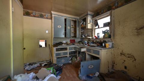 Photo from That Smell?