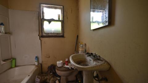 That Smell? - _DSC5436.JPG