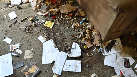 That Smell? - _DSC5445.JPG