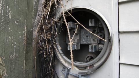 Overgrown - August 2017 - 3.jpg