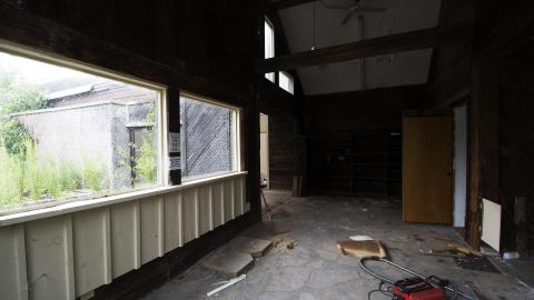 Overgrown - August 2017 - 4.jpg