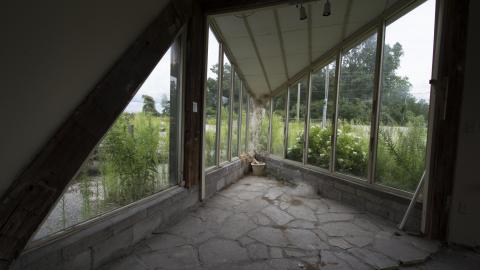 Overgrown - August 2017 - 7.jpg