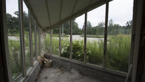 Overgrown - August 2017 - 8.jpg