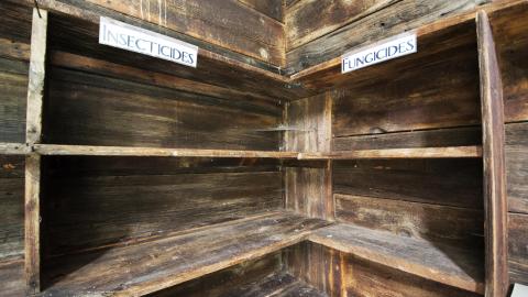 Overgrown - August 2017 - 9.jpg