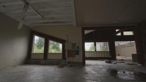 Overgrown - August 2017 - 11.jpg