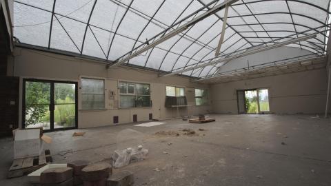 Overgrown - August 2017 - 12.jpg