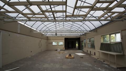 Overgrown - August 2017 - 13.jpg