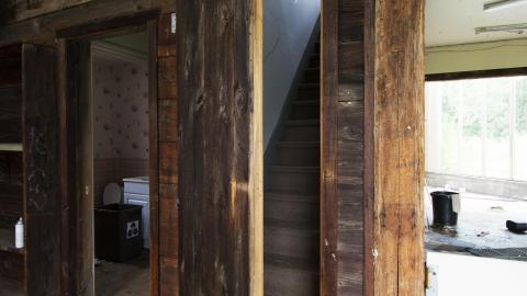 Overgrown - August 2017 - 14.jpg