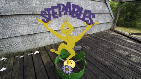 Overgrown - August 2017 - 16.jpg