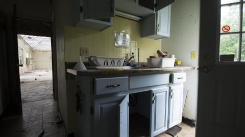 Overgrown - August 2017 - 19.jpg