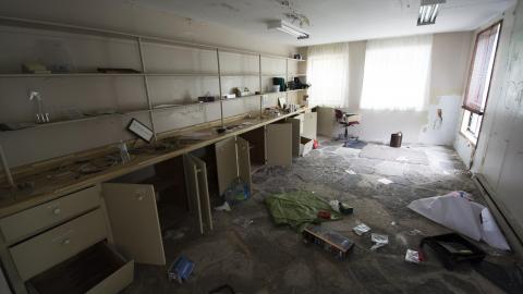 Overgrown - August 2017 - 20.jpg