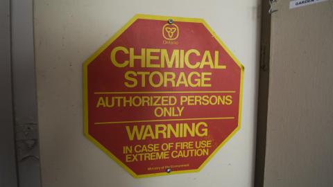 Overgrown - August 2017 - 21.jpg