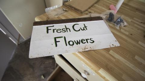 Overgrown - August 2017 - 22.jpg