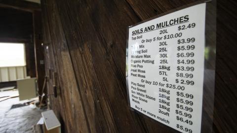 Overgrown - August 2017 - 25.jpg